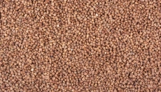 Come preparare deliziose crêpes di grano saraceno